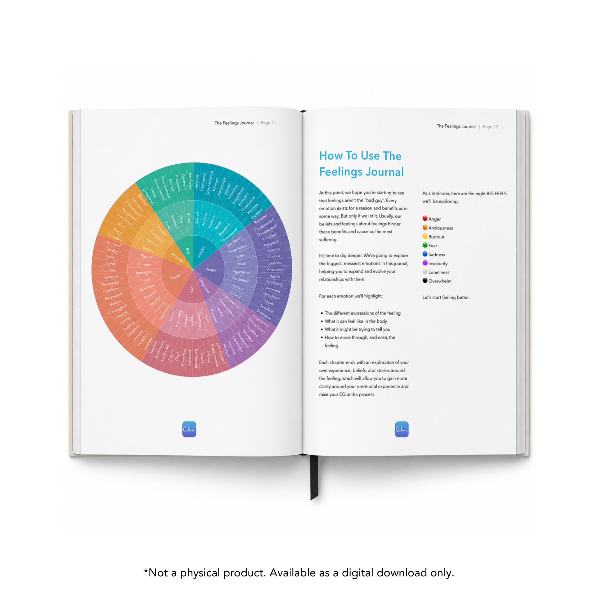 The Feelings Journal