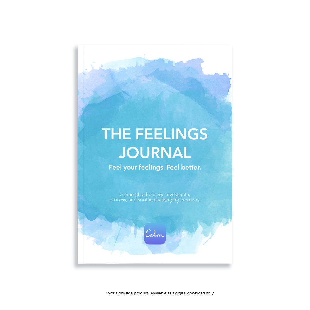 The Feelings Journal (PDF)