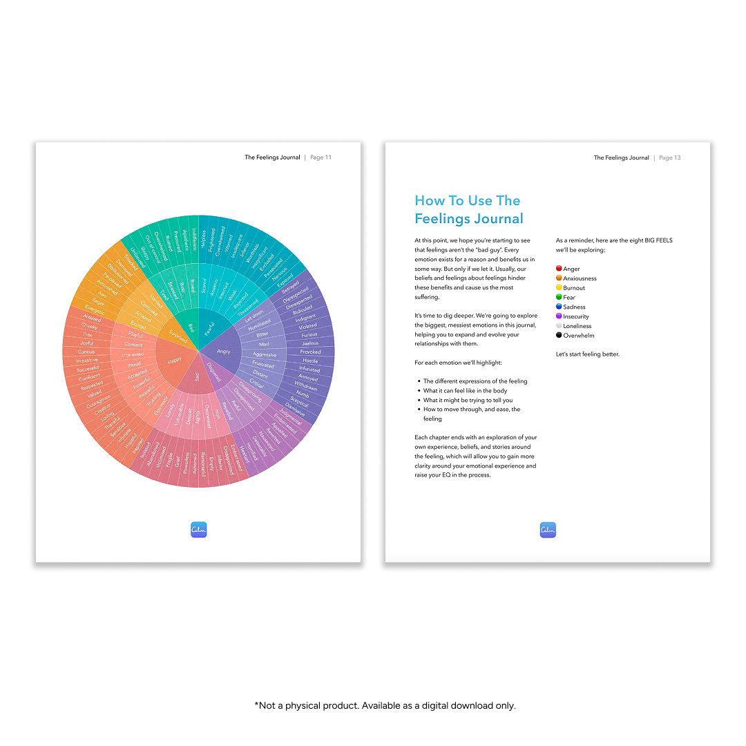 The Feelings Journal (PDF)