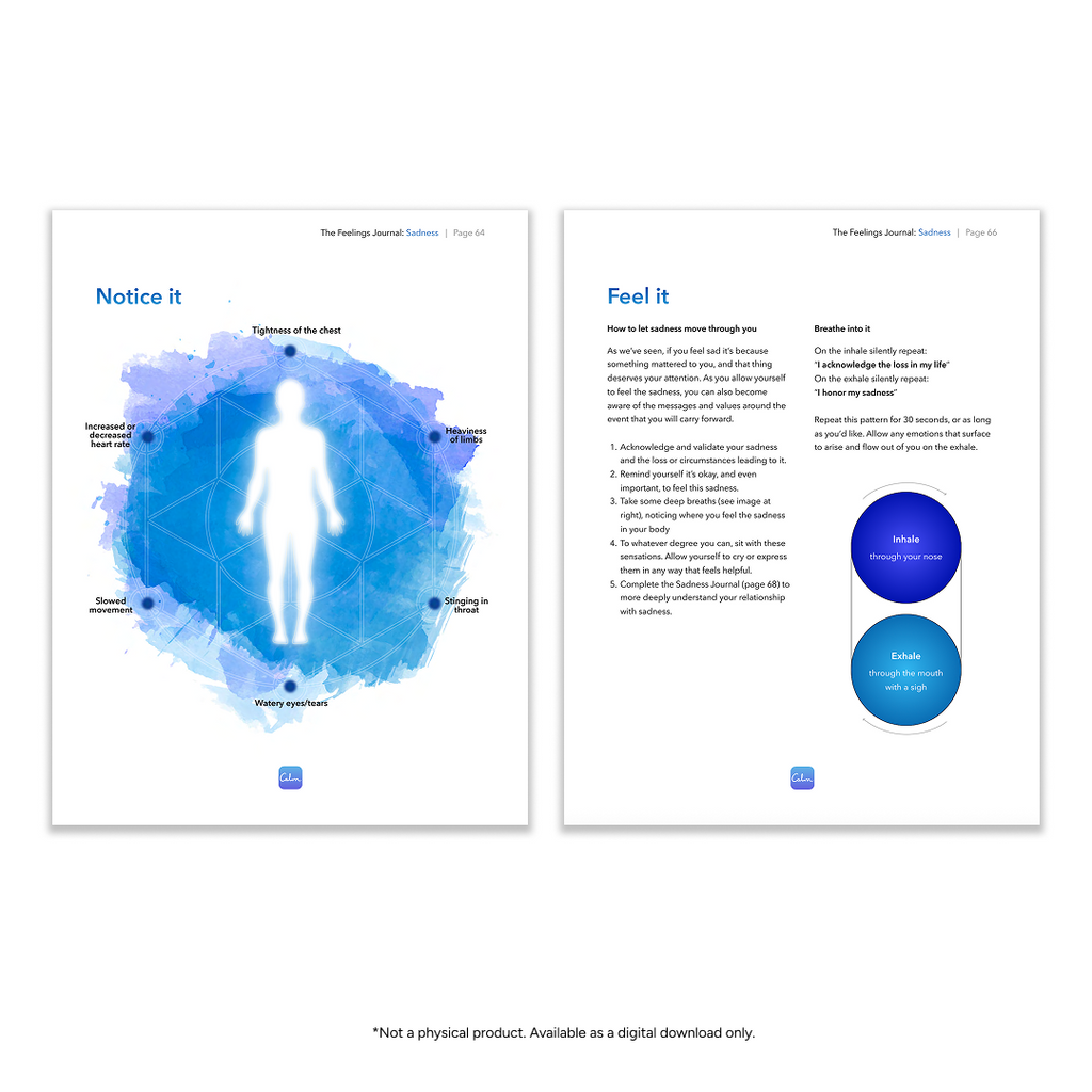 The Feelings Journal (PDF)