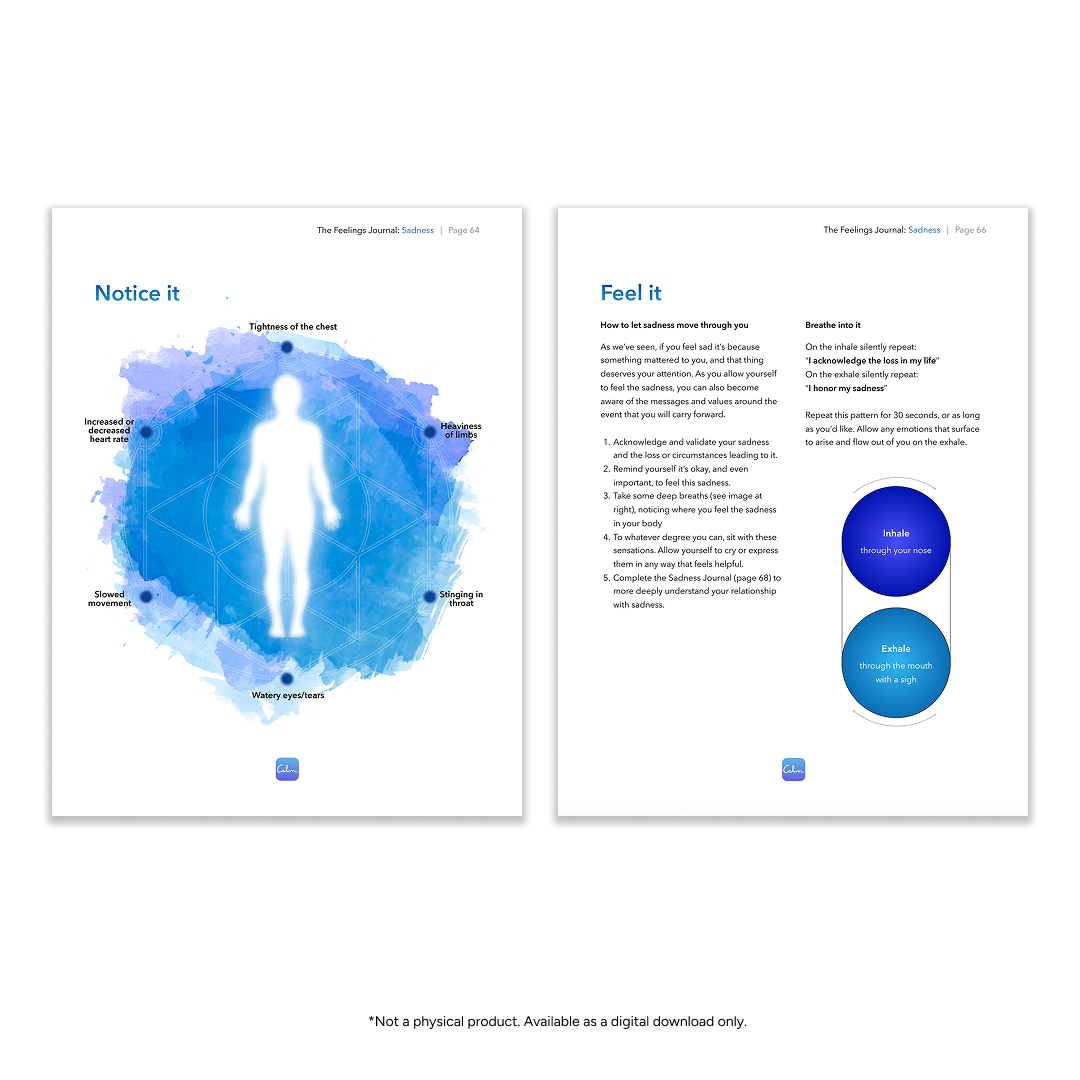 The Feelings Journal (PDF)