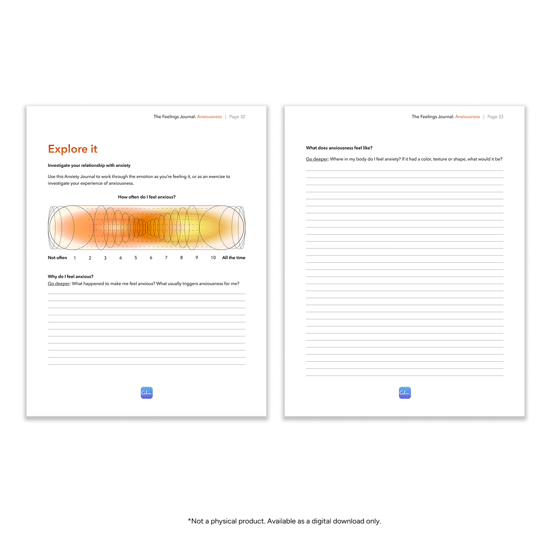 The Feelings Journal (PDF)