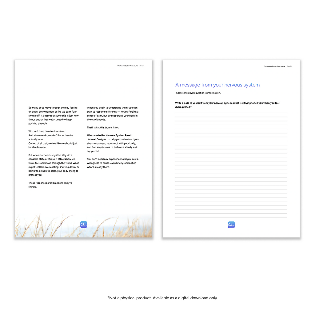 The Nervous System Reset Journal (PDF)