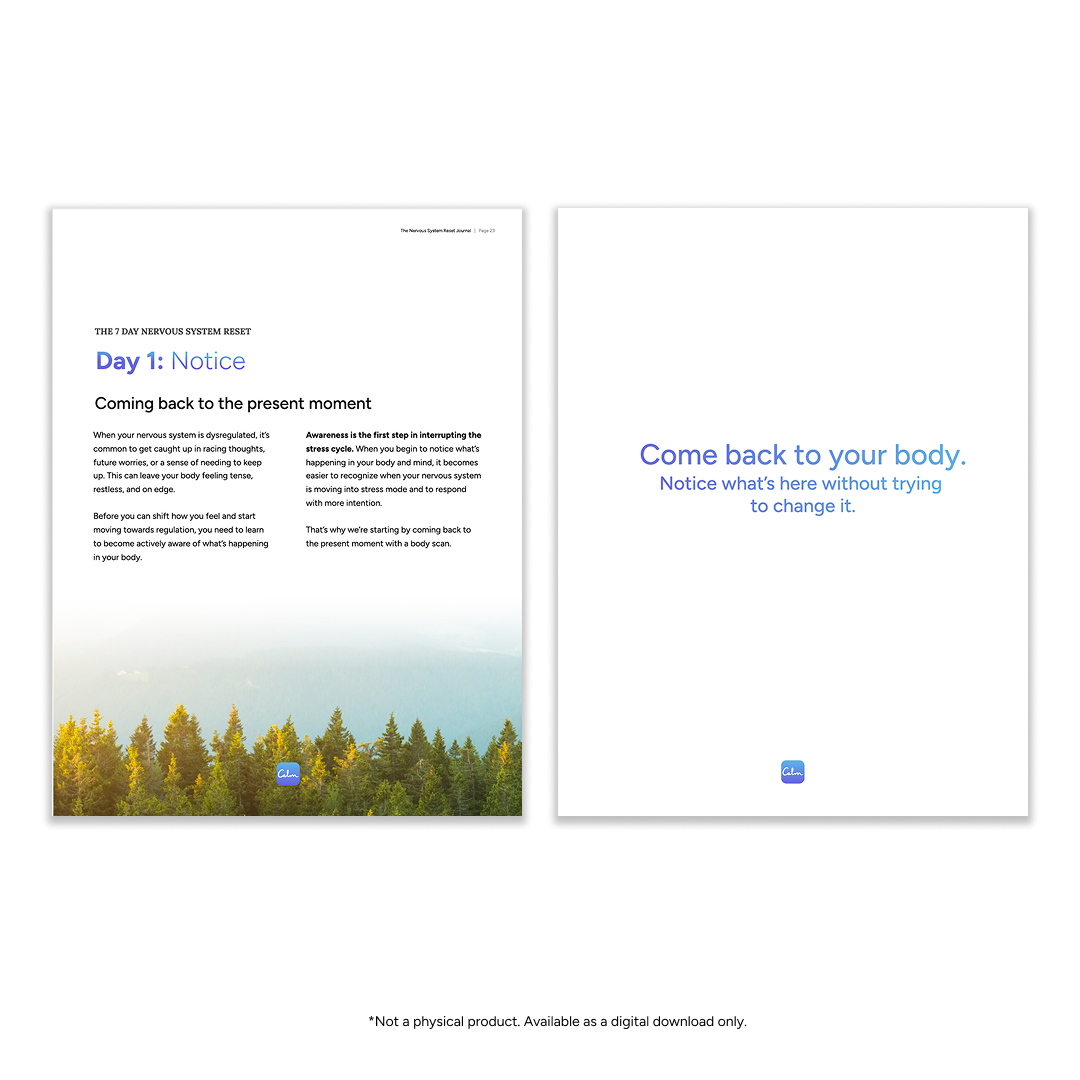 The Nervous System Reset Journal (PDF)