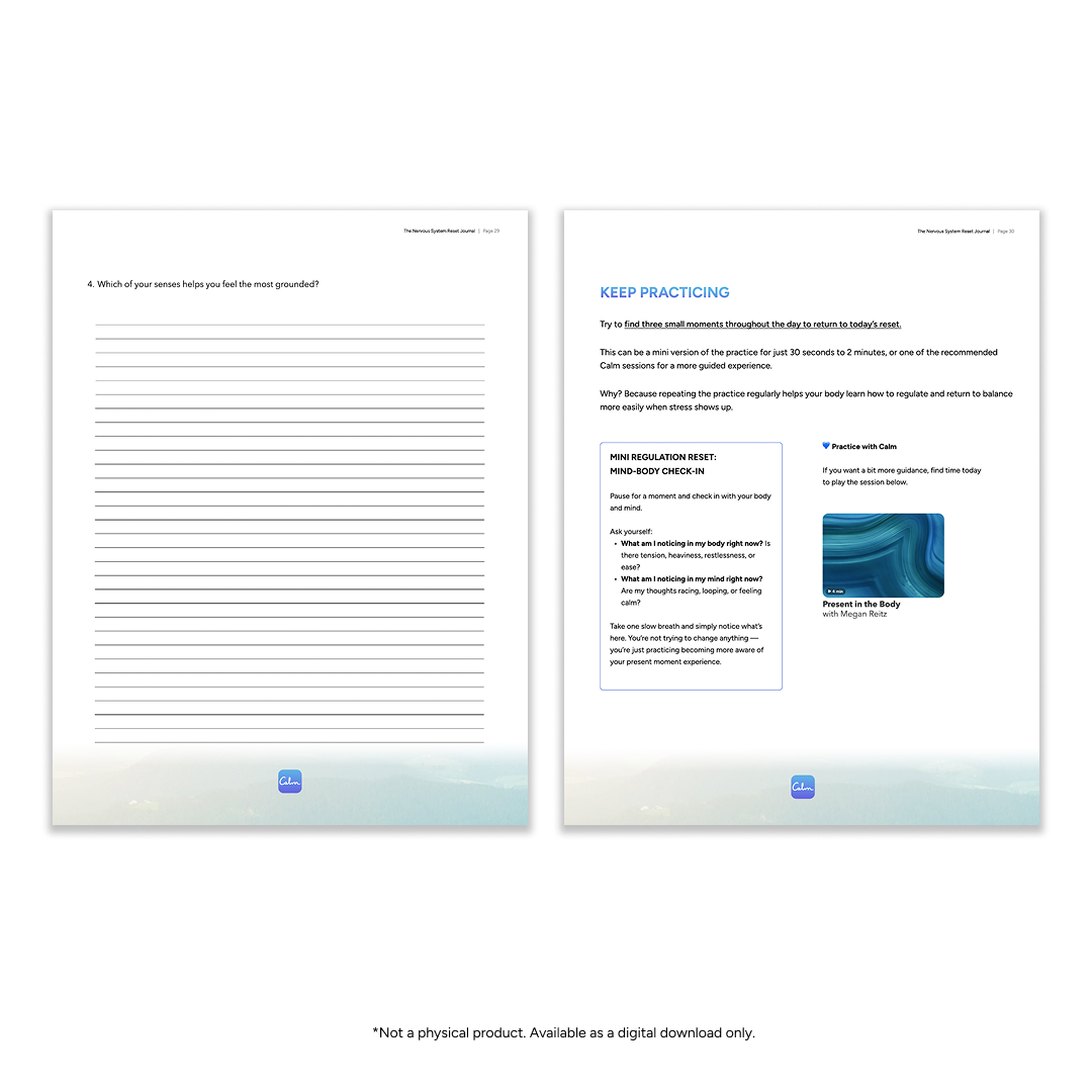 The Nervous System Reset Journal (PDF)