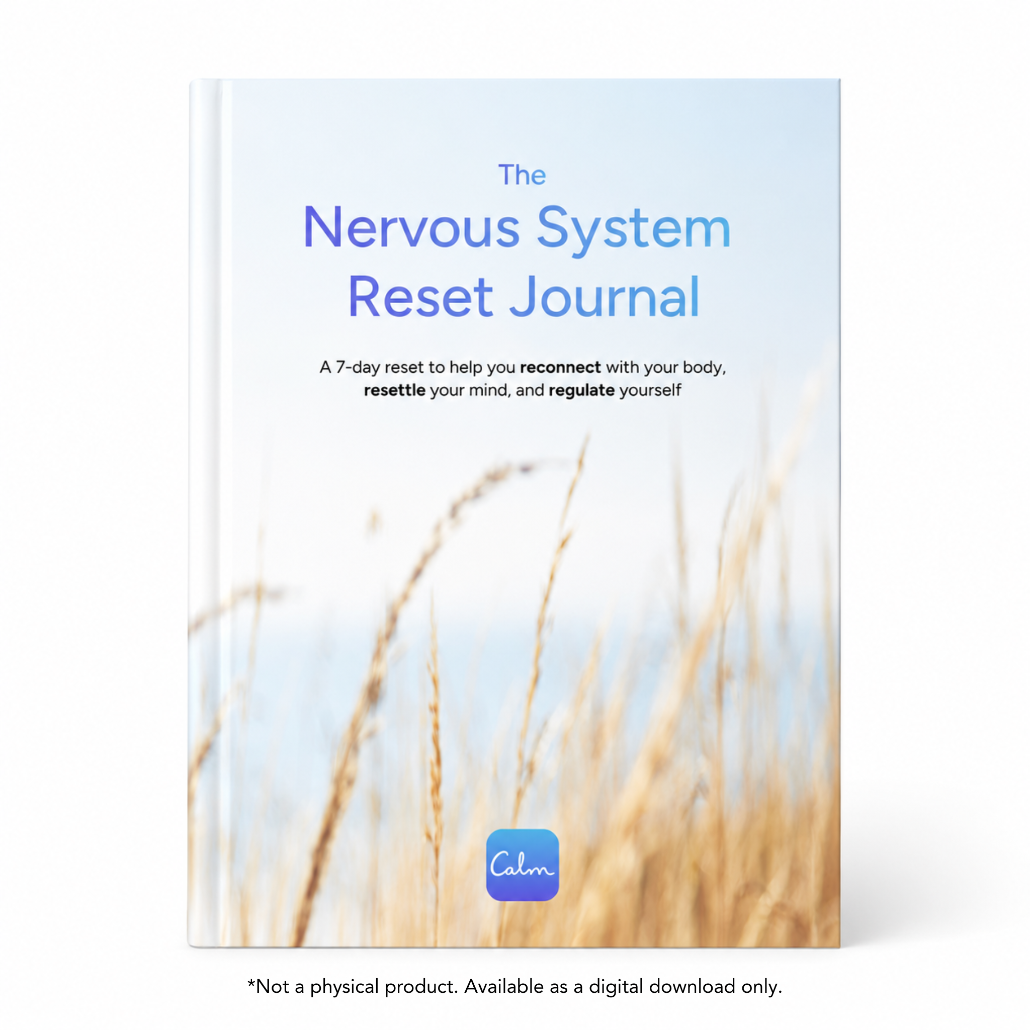 The Nervous System Reset Journal