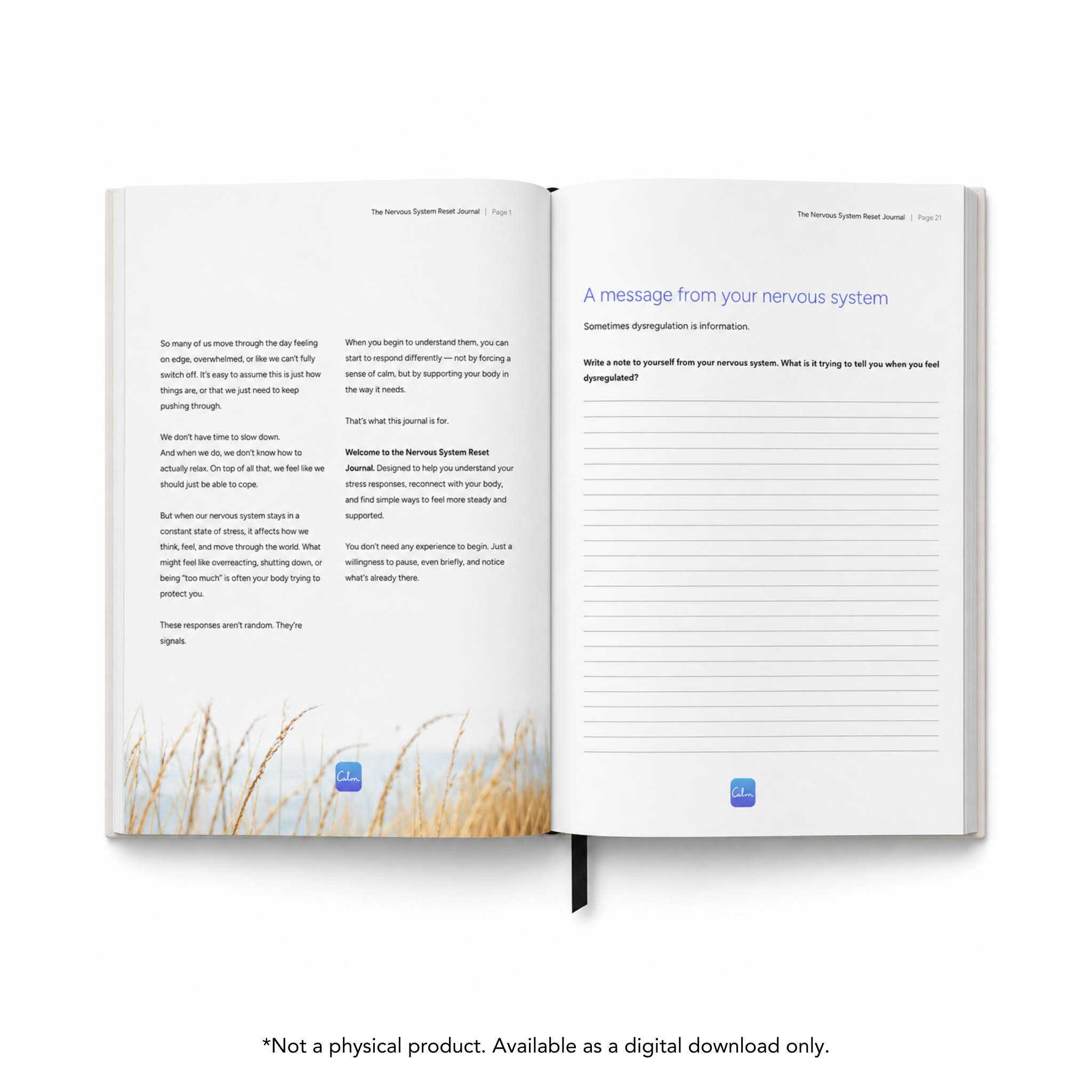 The Nervous System Reset Journal