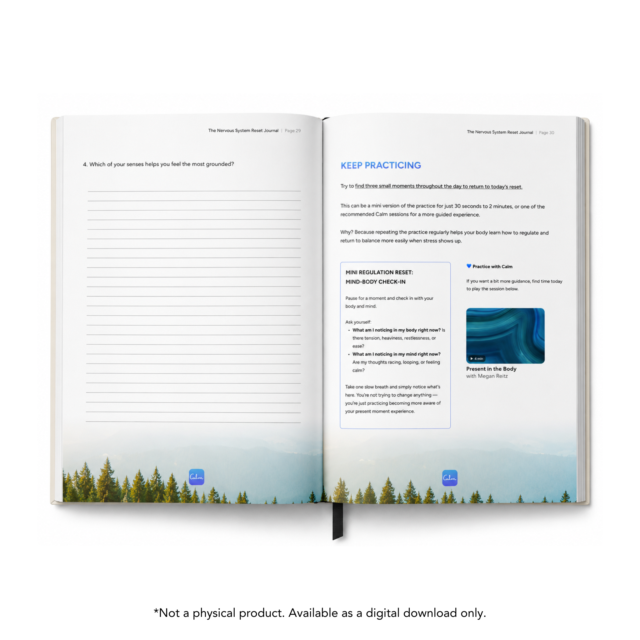 The Nervous System Reset Journal