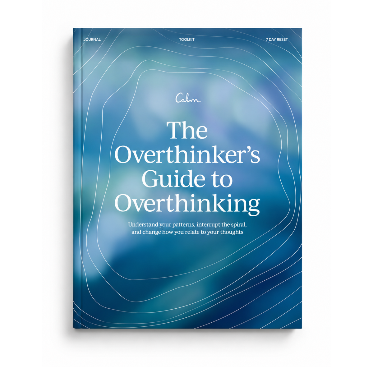 The Overthinker's Guide to Overthinking (paperback)